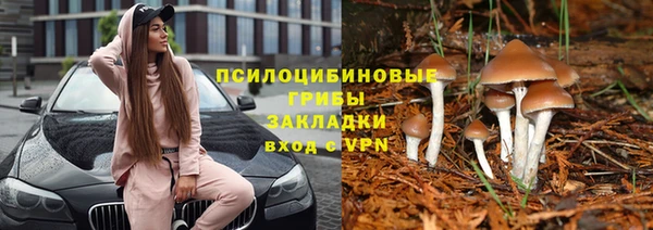 скорость Алексин