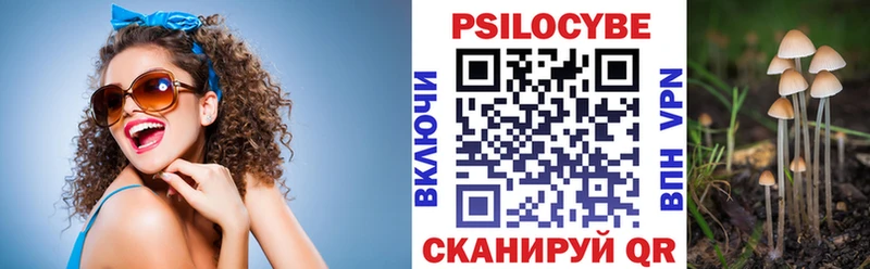 цены   Железноводск  Псилоцибиновые грибы Cubensis 